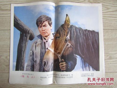 斯托本佛朗西斯大学Artdiploma